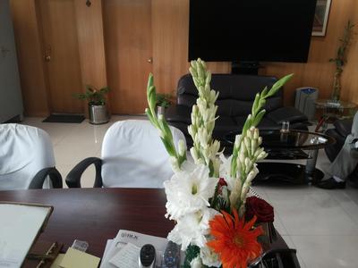 20150903_1405351.jpg