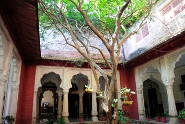 Boloji_01.JPG
