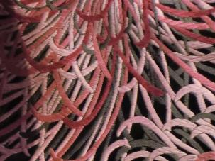 Tangles.JPG