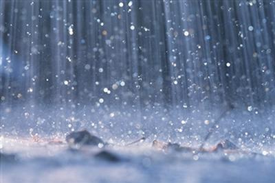 rain19.jpg